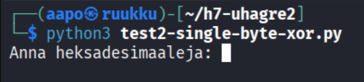 Ohjelma ajettuna